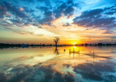 The sunset landscape in the vast floodplain wetlands, they bring alluvium for the upcoming rice crops to be green. Peaceful landscape Vietnam my hometown