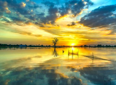 The sunset landscape in the vast floodplain wetlands, they bring alluvium for the upcoming rice crops to be green. Peaceful landscape Vietnam my hometown