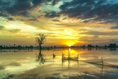 The sunset landscape in the vast floodplain wetlands, they bring alluvium for the upcoming rice crops to be green. Peaceful landscape Vietnam my hometown