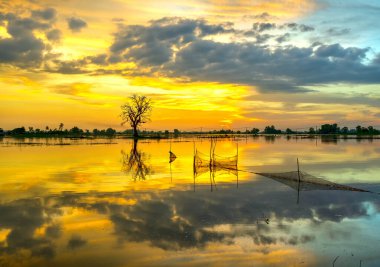 The sunset landscape in the vast floodplain wetlands, they bring alluvium for the upcoming rice crops to be green. Peaceful landscape Vietnam my hometown