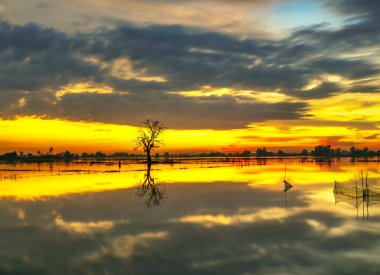 The sunset landscape in the vast floodplain wetlands, they bring alluvium for the upcoming rice crops to be green. Peaceful landscape Vietnam my hometown