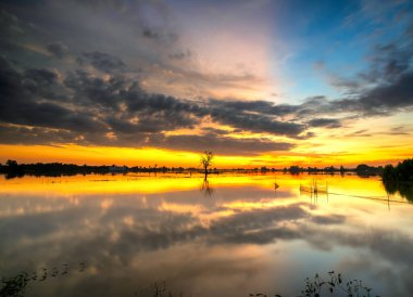 The sunset landscape in the vast floodplain wetlands, they bring alluvium for the upcoming rice crops to be green. Peaceful landscape Vietnam my hometown