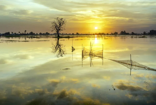 Sunset Landscape Vast Floodplain Wetlands Bring Alluvium Upcoming Rice Crops — Stok fotoğraf
