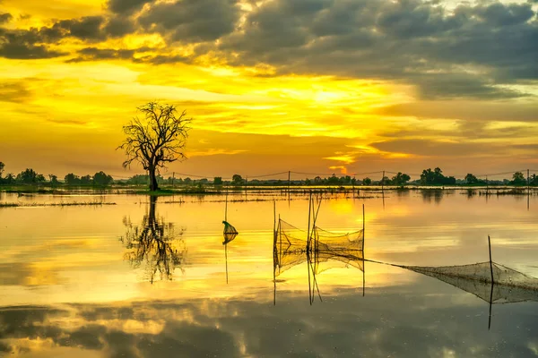 Sunset Landscape Vast Floodplain Wetlands Bring Alluvium Upcoming Rice Crops — Stockfoto