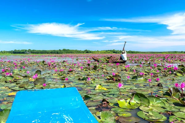 Tay Ninh, Vietnam - December 8th, 2021: A farmer is harvesting water lily in a flooded field on a winter morning, this is his daily livelihood to support his family in Tay Ninh, Vietnam