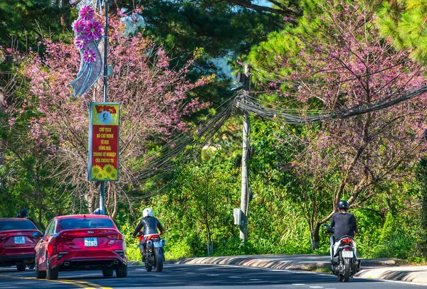 Lat Vietnam January 20Th 2022 Traffic Corner Busy Curve Cherry — Stock Fotó