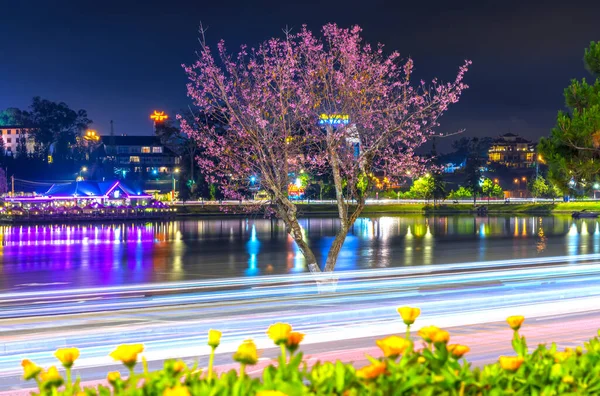 ベトナムのダラット 1月20 2022 トラフィックがダラット ベトナムで幻想的な光の道を作成する春の夜に湖畔に沿って桜が咲きます — ストック写真