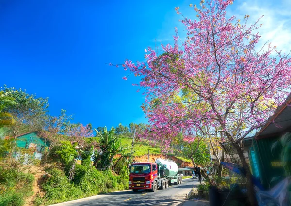 Lat Vietnam Január 2022 Forgalom Vidéki Úton Egy Előtér Cseresznyevirág — Stock Fotó