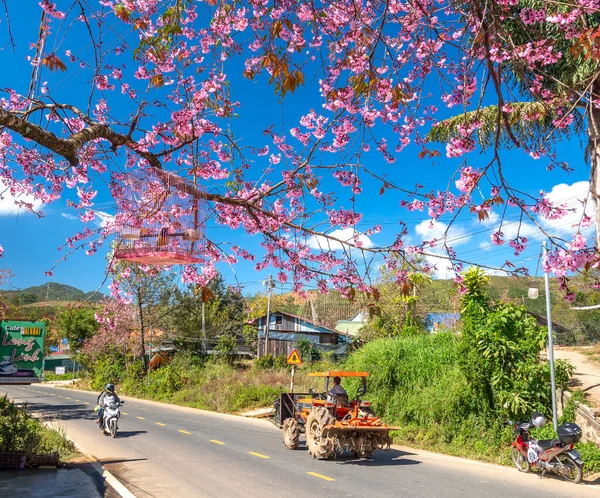 Lat Vietnã Janeiro 2022 Tráfego Estrada Rural Com Primeiro Plano — Fotografia de Stock