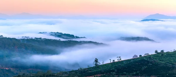 New Morning Scene Top Hill Looking Fog Covering Valley Peaceful — Stock Photo, Image