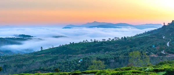 New Morning Scene Top Hill Looking Fog Covering Valley Peaceful — Stockfoto