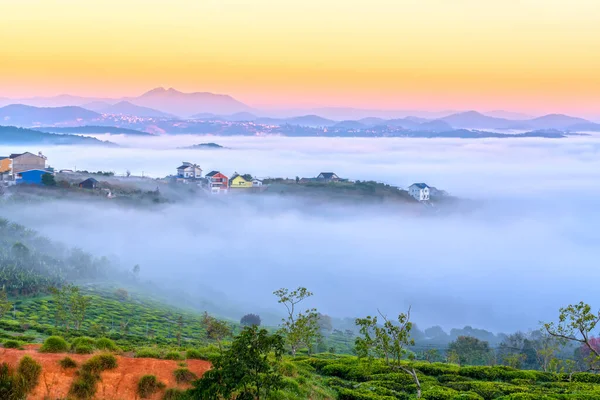 Şafak vakti sisli, küçük bir kasabada sabah manzarası bulanıklaşır. Gökyüzü arka planı dağlık Da Lat, Vietnam 'da huzurludur.
