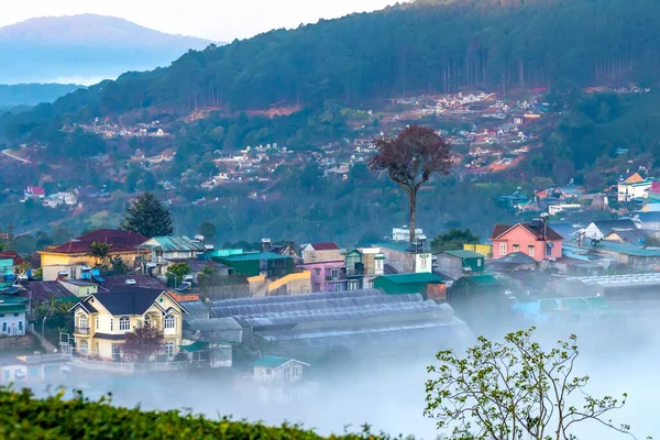 Sabah sisinde bulanık küçük bir kasabadaki sabah manzarası Da Lat, Vietnam 'ın dağlık kesimlerinde huzurludur.