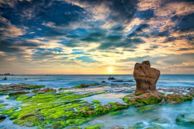 Rocky plajı ve yeşil yosun gündoğumunda gökyüzünde Orta Vietnam 'da güzel bir plajda