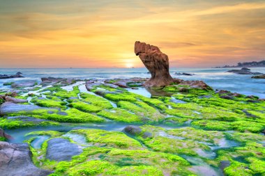 Rocky plajı ve yeşil yosun gündoğumunda gökyüzünde Orta Vietnam 'da güzel bir plajda