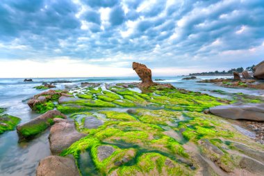 Rocky plajı ve yeşil yosun sabah Vietnam 'ın merkezinde güzel bir plajda.