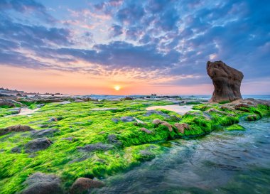 Rocky plajı ve yeşil yosun gündoğumunda gökyüzünde Orta Vietnam 'da güzel bir plajda
