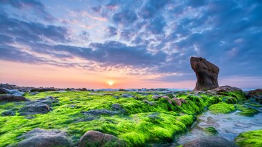 Rocky plajı ve yeşil yosun gündoğumunda gökyüzünde Orta Vietnam 'da güzel bir plajda