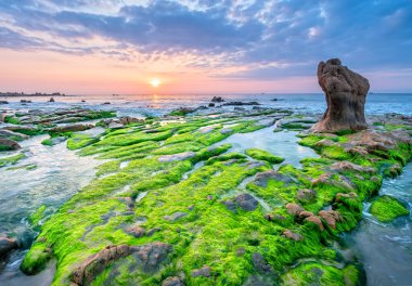 Rocky plajı ve yeşil yosun gündoğumunda gökyüzünde Orta Vietnam 'da güzel bir plajda