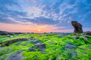 Rocky plajı ve yeşil yosun gündoğumunda gökyüzünde Orta Vietnam 'da güzel bir plajda