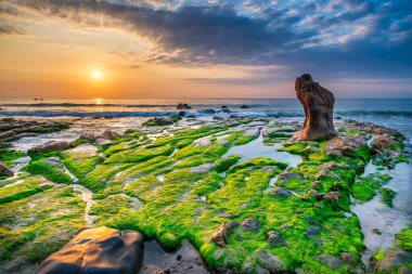 Rocky plajı ve yeşil yosun gündoğumunda gökyüzünde Orta Vietnam 'da güzel bir plajda