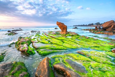 Rocky plajı ve yeşil yosun gündoğumunda gökyüzünde Orta Vietnam 'da güzel bir plajda
