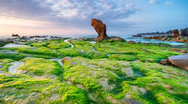 Rocky plajı ve yeşil yosun gündoğumunda gökyüzünde Orta Vietnam 'da güzel bir plajda