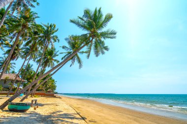 Yaz öğleden sonra tropikal denize doğru eğilmiş hindistan cevizi ağaçları. Dinlenmek ve dinlenmek için güzel kumlu sahil..