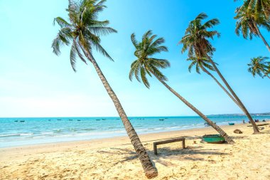 Yaz öğleden sonra tropikal denize doğru eğilmiş hindistan cevizi ağaçları. Dinlenmek ve dinlenmek için güzel kumlu sahil..