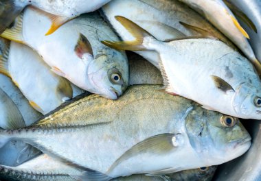 Vietnam 'daki orta kıyı balıkçılığı köyündeki taze deniz ürünleri pazarında taze olarak yakalandı.