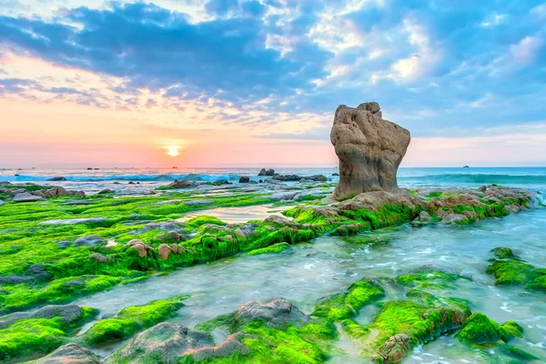 Rocky beach and green moss in sunrise sky at a beautiful beach in central Vietnam