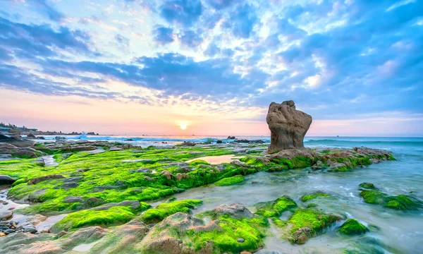 Spiaggia Rocciosa Muschio Verde Nel Cielo Alba Una Bella Spiaggia — Foto Stock