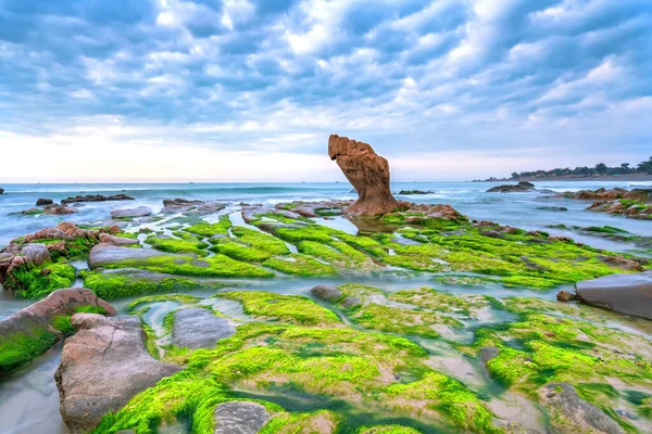 Spiaggia Rocciosa Muschio Verde Mattino Una Bella Spiaggia Nel Vietnam — Foto Stock