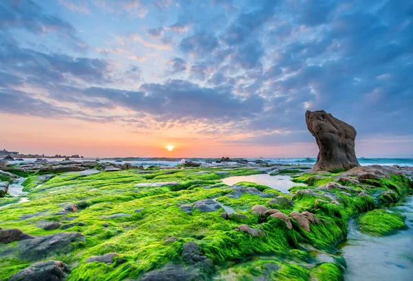 Rocky Beach Green Moss Sunrise Sky Beautiful Beach Central Vietnam — Stock Photo, Image