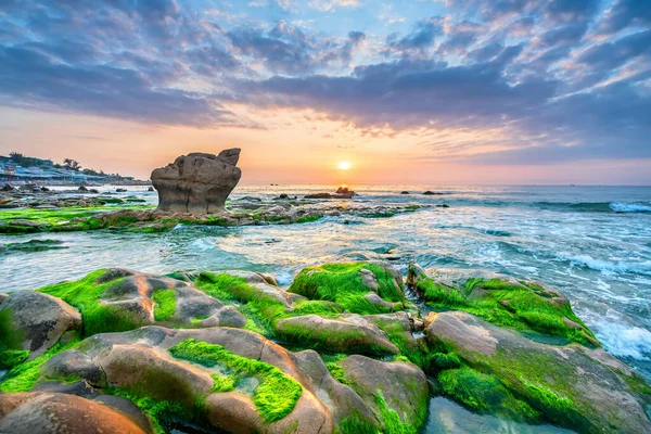 Rocky plajı ve yeşil yosun gündoğumunda gökyüzünde Orta Vietnam 'da güzel bir plajda