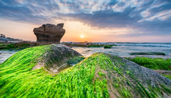 Rocky plajı ve yeşil yosun gündoğumunda gökyüzünde Orta Vietnam 'da güzel bir plajda