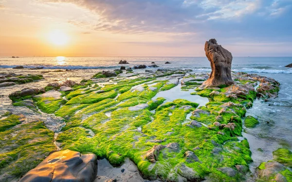 Rocky plajı ve yeşil yosun gündoğumunda gökyüzünde Orta Vietnam 'da güzel bir plajda