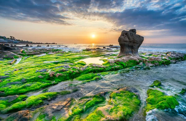 Spiaggia Rocciosa Muschio Verde Nel Cielo Alba Una Bella Spiaggia — Foto Stock