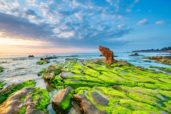Rocky plajı ve yeşil yosun gündoğumunda gökyüzünde Orta Vietnam 'da güzel bir plajda