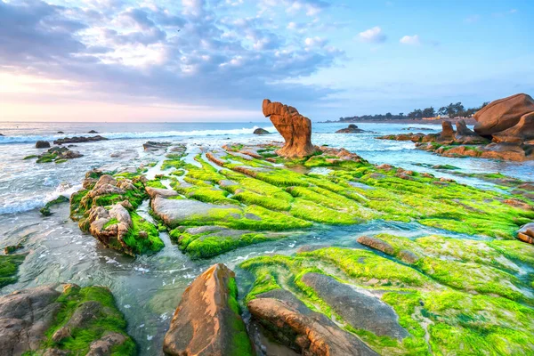 Rocky plajı ve yeşil yosun gündoğumunda gökyüzünde Orta Vietnam 'da güzel bir plajda