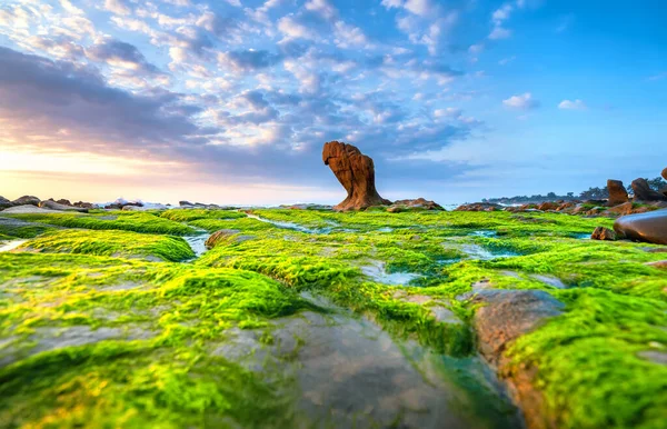 Rocky plajı ve yeşil yosun gündoğumunda gökyüzünde Orta Vietnam 'da güzel bir plajda