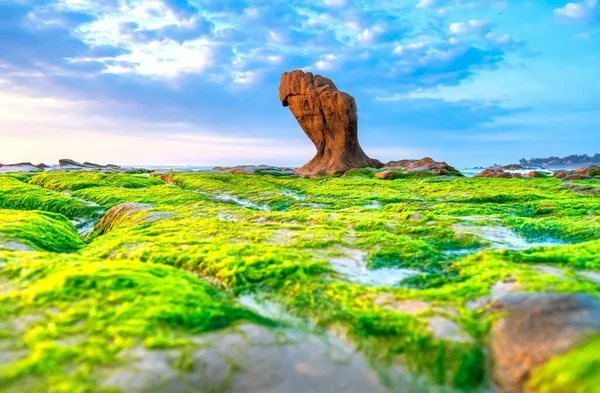 Rocky Beach Green Moss Sunrise Sky Beautiful Beach Central Vietnam — Stock fotografie