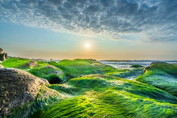 Spiaggia Rocciosa Muschio Verde Nel Cielo Alba Una Bella Spiaggia — Foto Stock