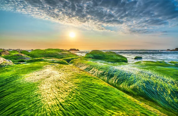 Rocky Beach Green Moss Sunrise Sky Beautiful Beach Central Vietnam — Stock Photo, Image