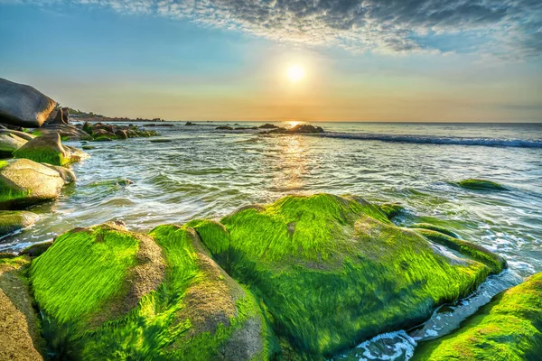Spiaggia Rocciosa Muschio Verde Nel Cielo Alba Una Bella Spiaggia — Foto Stock