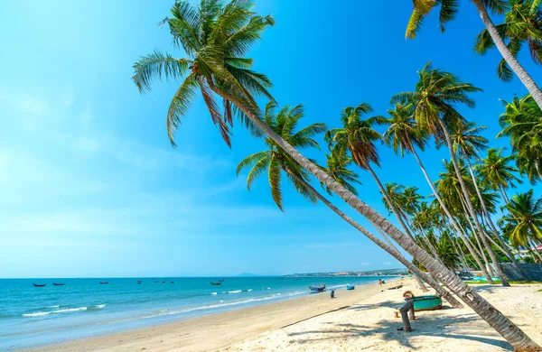 Yaz öğleden sonra tropikal denize doğru eğilmiş hindistan cevizi ağaçları. Dinlenmek ve dinlenmek için güzel kumlu sahil..