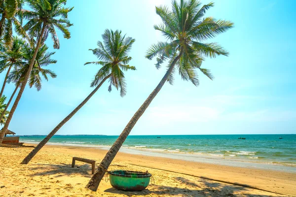 Yaz Öğleden Sonra Tropikal Denize Doğru Eğilmiş Hindistan Cevizi Ağaçları — Stok fotoğraf