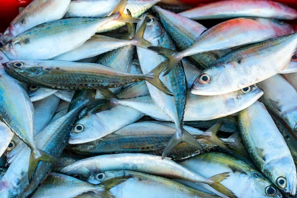 Vietnam 'da orta kıyı balıkçılığı yapan bir köyde taze deniz ürünleri pazarında taze balık yakalandı.