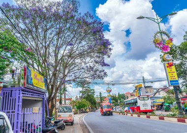 Da Lat, Vietnam - 2 Nisan 2022: Sokak köşesinde çiçek açan Jacaranda çiçekleri, Vietnam 'daki Dalat dağlık kesiminde yağmur mevsimi değişiminin habercisidir.