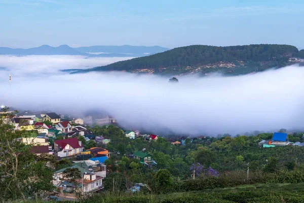 The morning landscape in the valley with fog covered and sunrise background is so blurry, so beautiful and peaceful